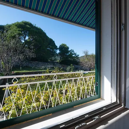 Casa de Férias My Dalmatia - Sea View Antonela